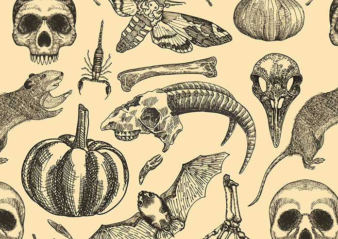 Baffling Bones - Roller Blind - Image 6